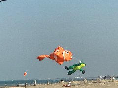 IMG 8571