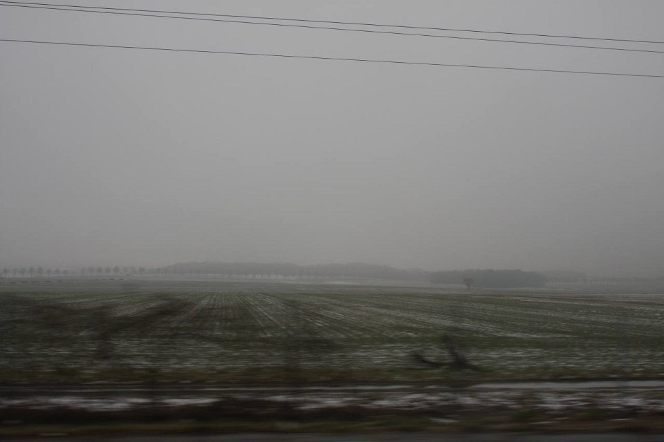 IMG 5109