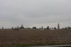 IMG 5064