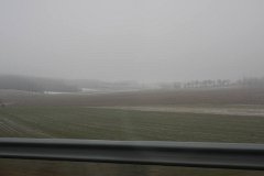 IMG 5104
