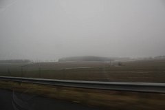 IMG 5105