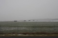 IMG 5107