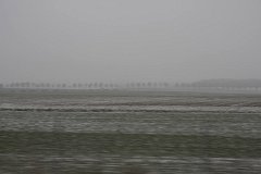 IMG 5108