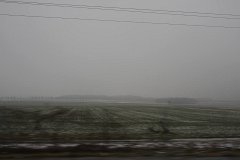 IMG 5109