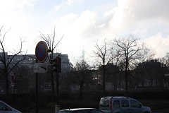 IMG 5199