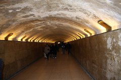 IMG 5246