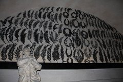 IMG 5281