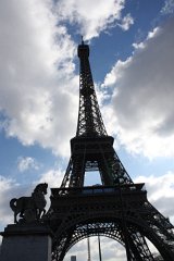 IMG 5334