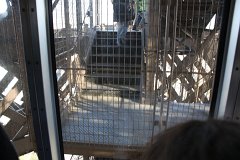 IMG 5391