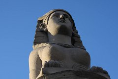 IMG 5528