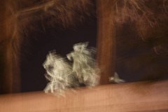 IMG 5797