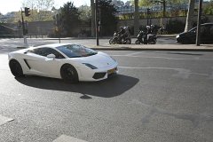 IMG 1461
