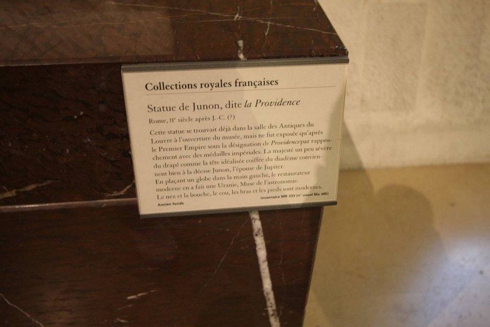 IMG 1356