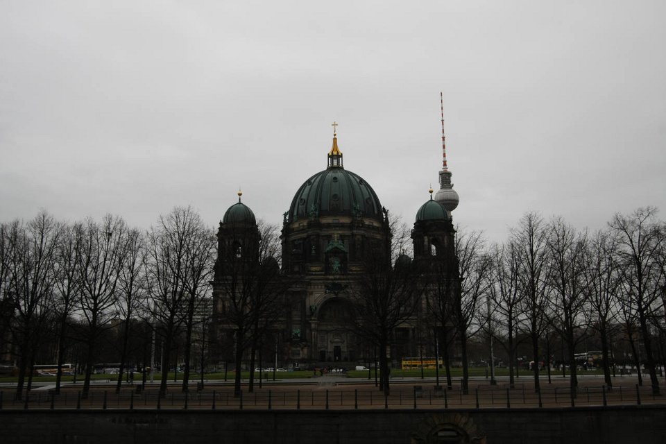 IMG 6603