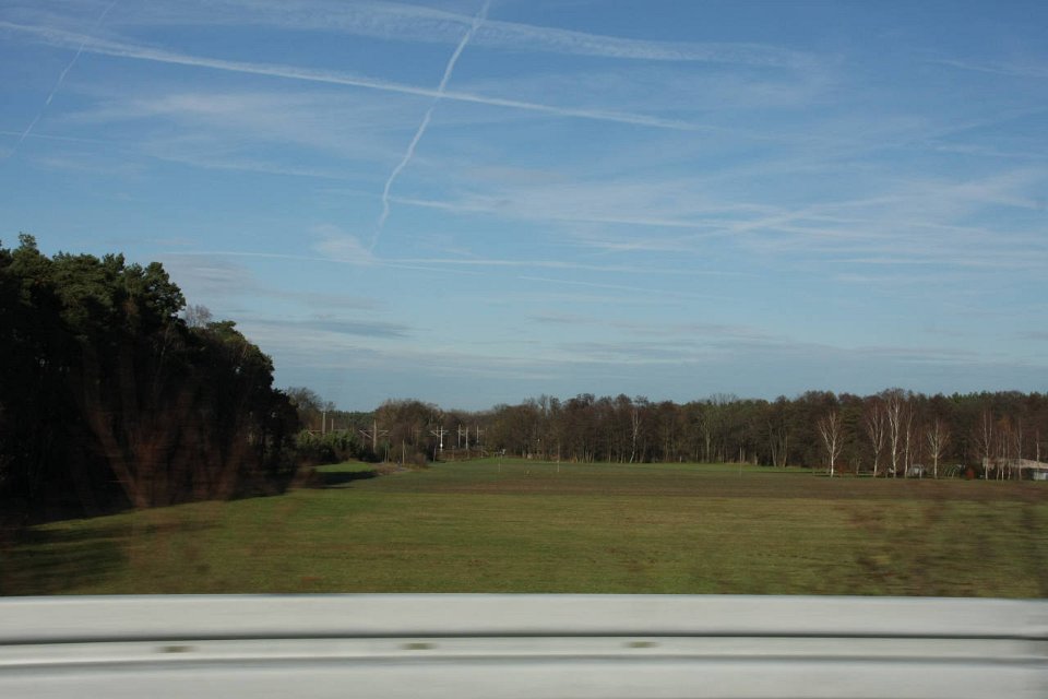 IMG 6917