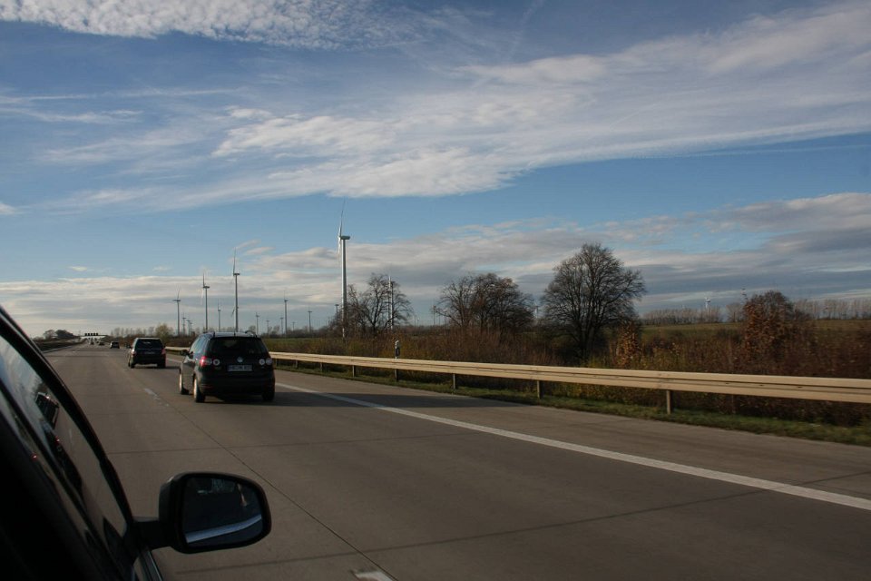 IMG 6954