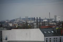 IMG 6542