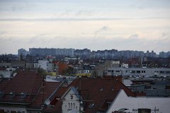 IMG 6544