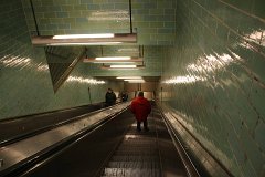IMG 6557