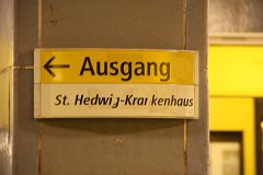IMG 6565
