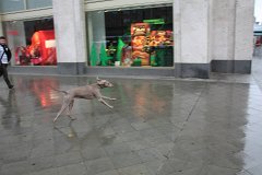 IMG 6576