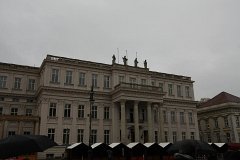 IMG 6600
