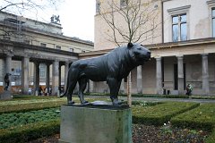 IMG 6625