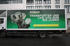IMG 6733