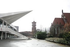 IMG 6769