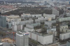 IMG 6782