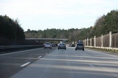 IMG 6875