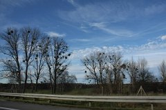 IMG 6884