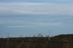 IMG 6891