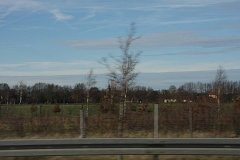 IMG 6909