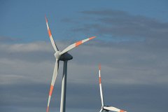 IMG 6941