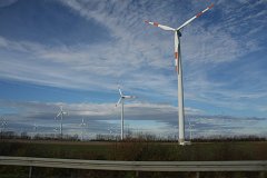 IMG 6961