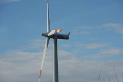 IMG 6965