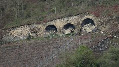 IMG 1451