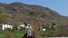 IMG 1491