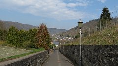 IMG 1511