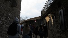 IMG 1528