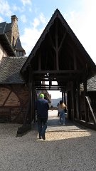 IMG 1531
