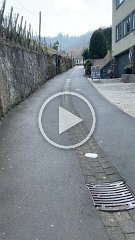 IMG 6195