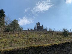 IMG 6197