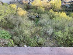 IMG 6284