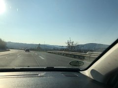 IMG 7468