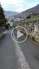 IMG 7577