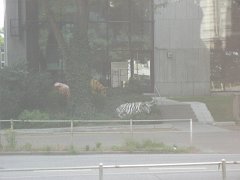 2006-London-and-Hamburg (350)