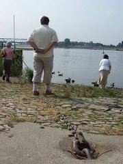 2006-London-and-Hamburg (545)