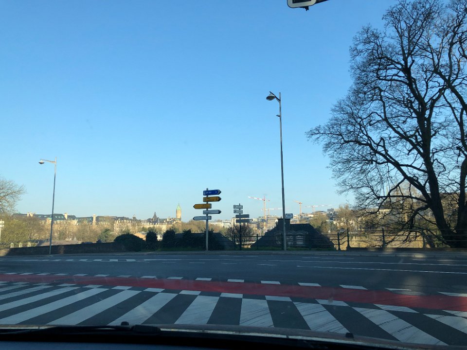 IMG 7459